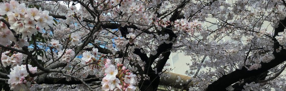 広島市中心部で好アクセス！
